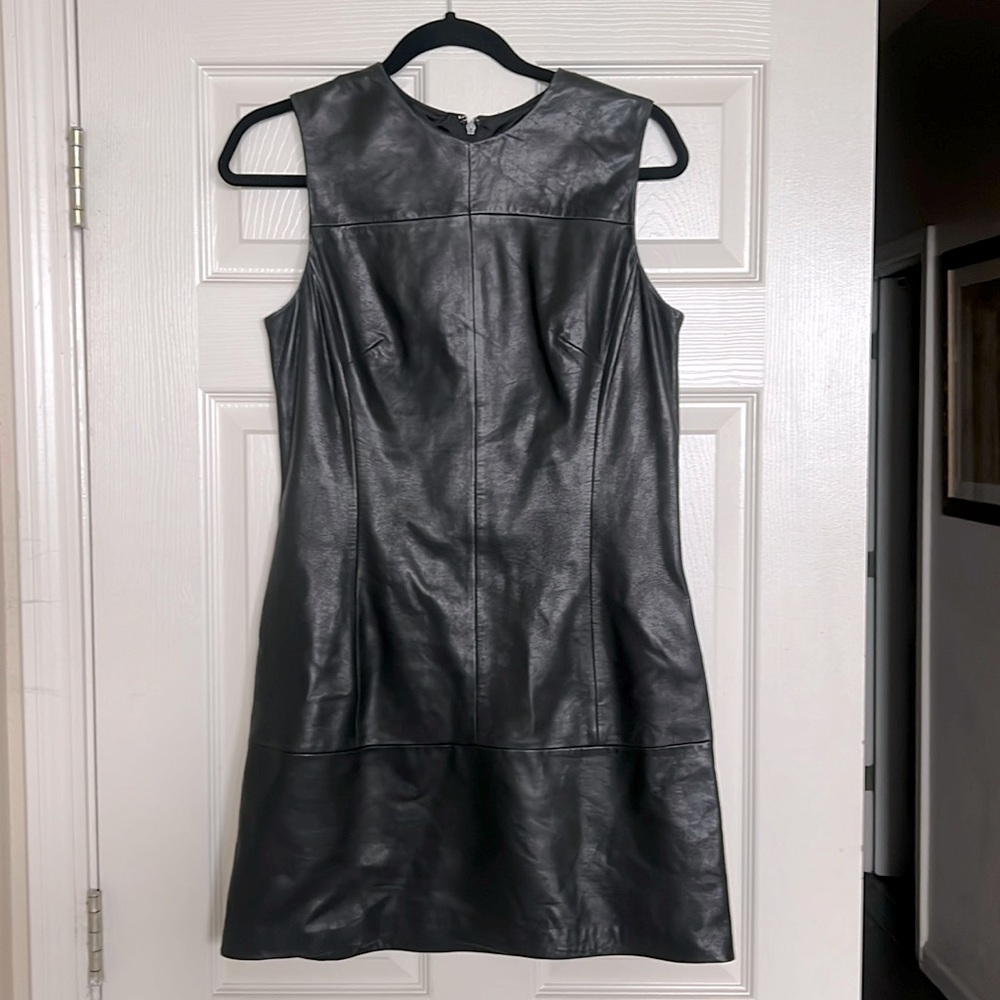 Banana Republic 100% Leather Dress size 6